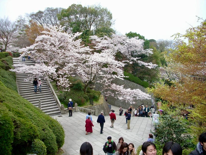 Kyoto: Kiyomizudera, Higashiyama and Yasaka Discovery Tour - Sannenzaka, Ninenzaka, and Nene no Michi