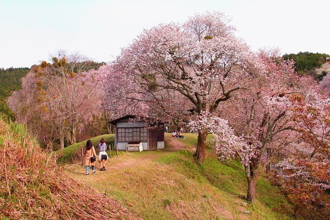 Kyoto Magical Night English Tour: Gion & Fushimi Inari Shrine - Yasaka Pagoda and the old Higashiyama lanes
