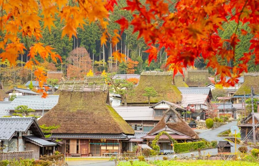 Kyoto: Miyama Village, Amanohashidate & Ine Bay Day Trip - Ine Bay and its boat houses
