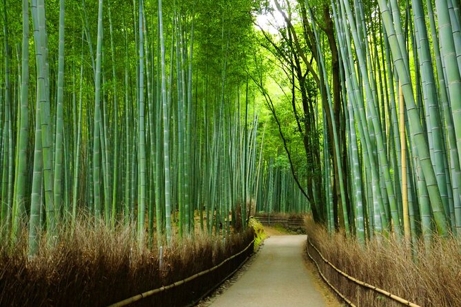Kyoto Morning Tour with English Speaking Guide - Walking, Timing, and the Real Pace of Three Hours