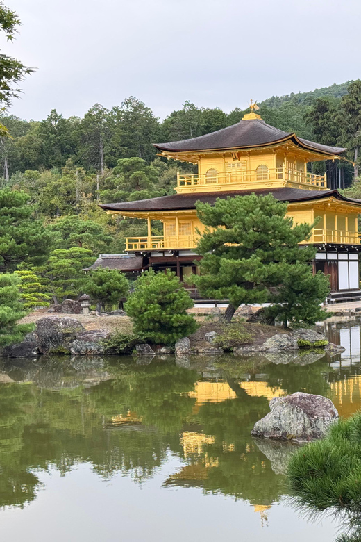 Kyoto & Nara Full Day Customised Tour - Nara Park changes the mood of the day
