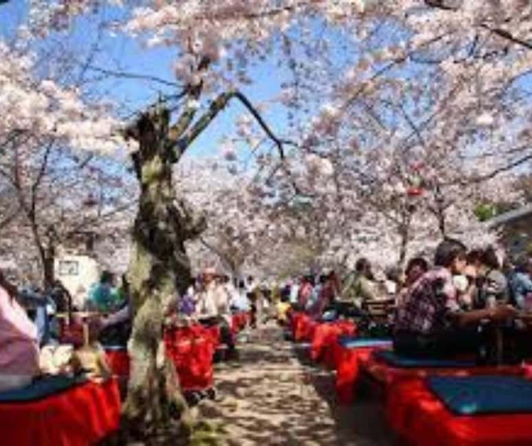 Kyoto & Nara Private Customized, Guided Tour - The guide makes or breaks the experience