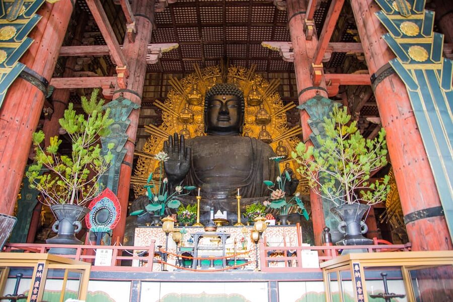 Kyoto: Nara, Todaiji, Kasuga Taisha Shrine Private Full Day - What the $183 price really covers
