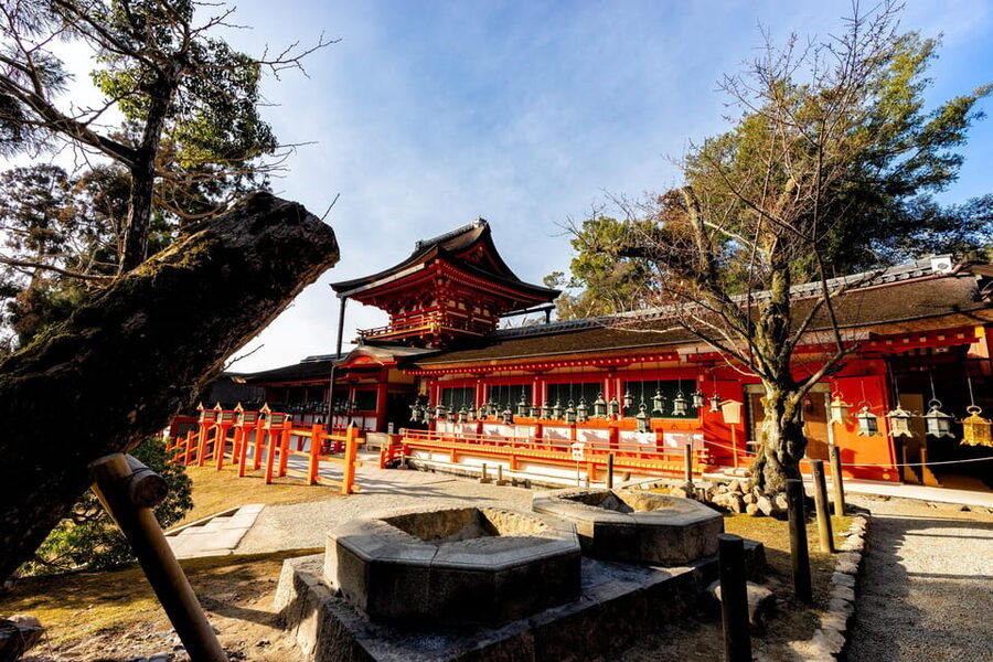 Kyoto: Nara, Todaiji, Kasuga Taisha Shrine Private Full Day - Why Nara makes a strong day trip from Kyoto