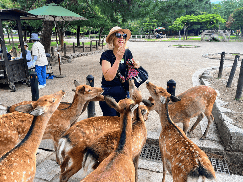 Kyoto: Nara & Traditional Matcha Experience Bus Tour - A long but well-planned day from Kyoto Station