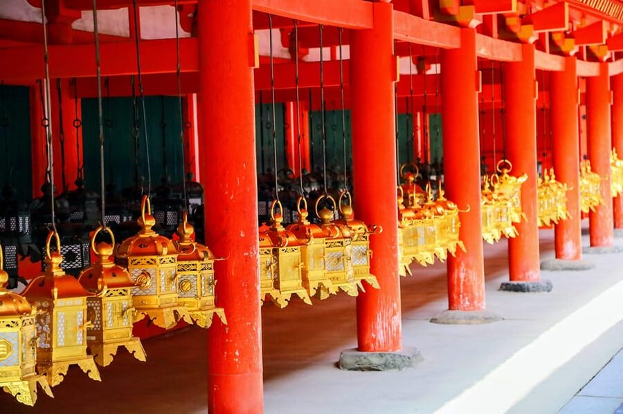 Kyoto: Nara & Traditional Matcha Experience Bus Tour - Lunch in Uji, with an important booking choice