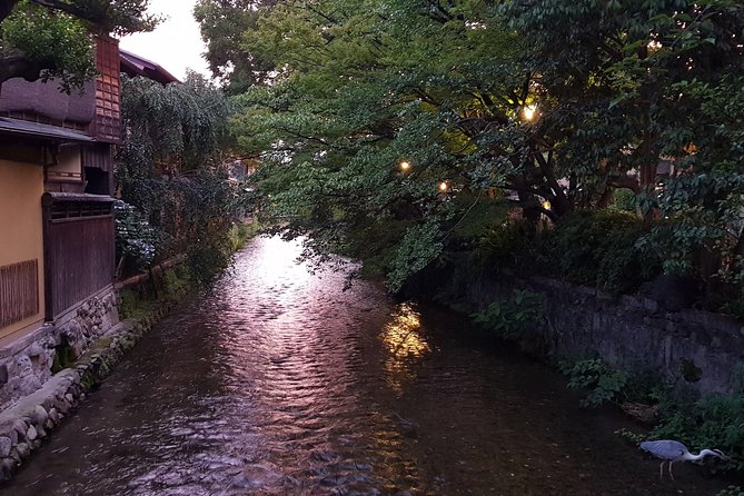 Kyoto Nighttime All-Inclusive Eats and Streets, Gion and Beyond - What the $119 price really covers
