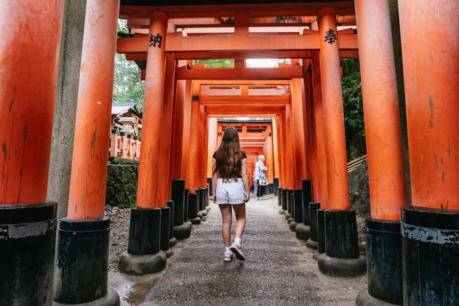 Kyoto: Nijo Castle, Kiyomizu & Fushimi Inari Guided Tour - Kyoto’s five big sights in one long day