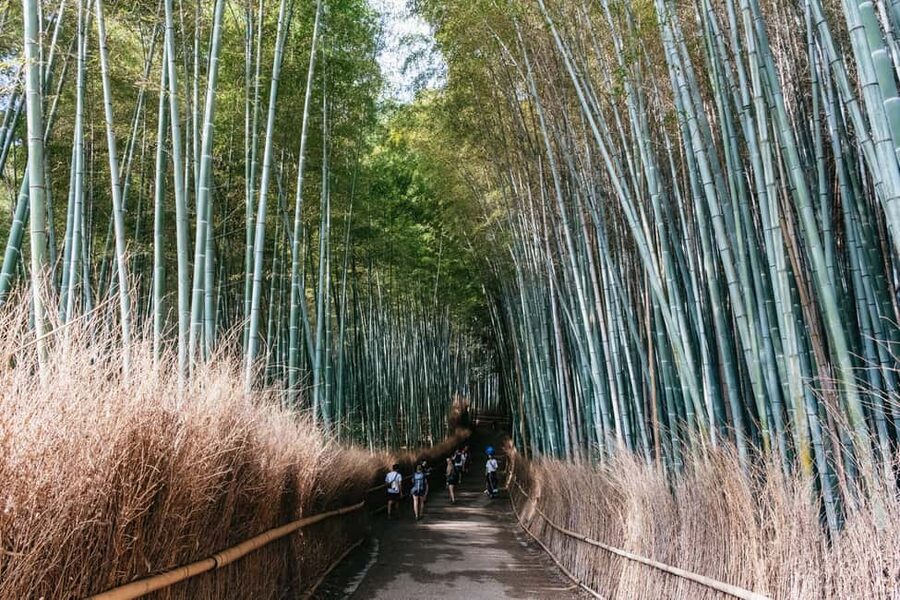 Kyoto: Nijo Castle, Kiyomizu & Fushimi Inari Guided Tour - How the bus and guide affect the day