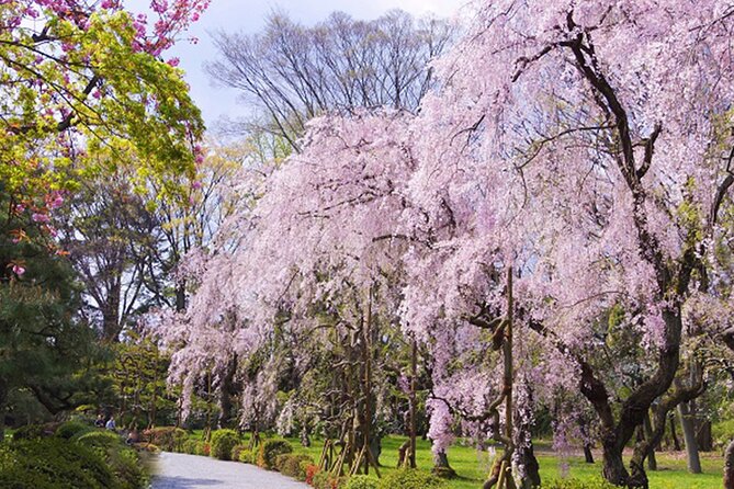 Kyoto: Nijo Castle World Heritage Guided Tour with Admission - Guides who make the difference