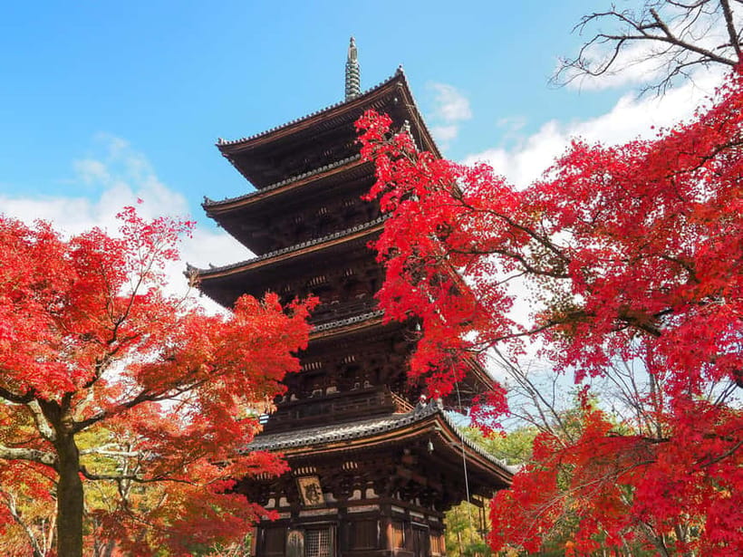 Kyoto: Ninnaji Temple Entry Ticket - Key points to know before you go