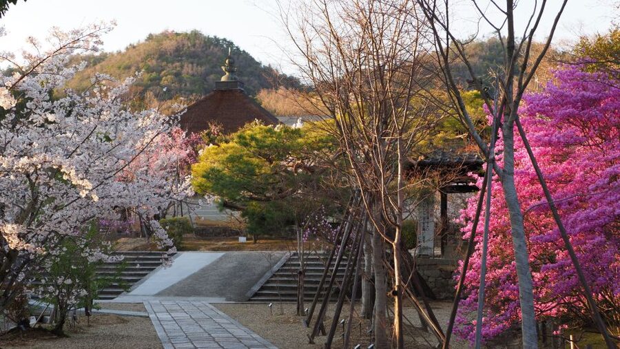 Kyoto: Ninnaji Temple Entry Ticket - Reihokan Museum and the temple’s cultural objects