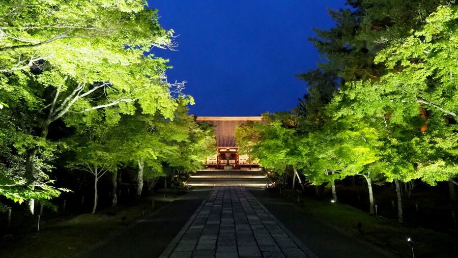 Kyoto: Ninnaji Temple Entry Ticket - What the special Kannon-do access adds