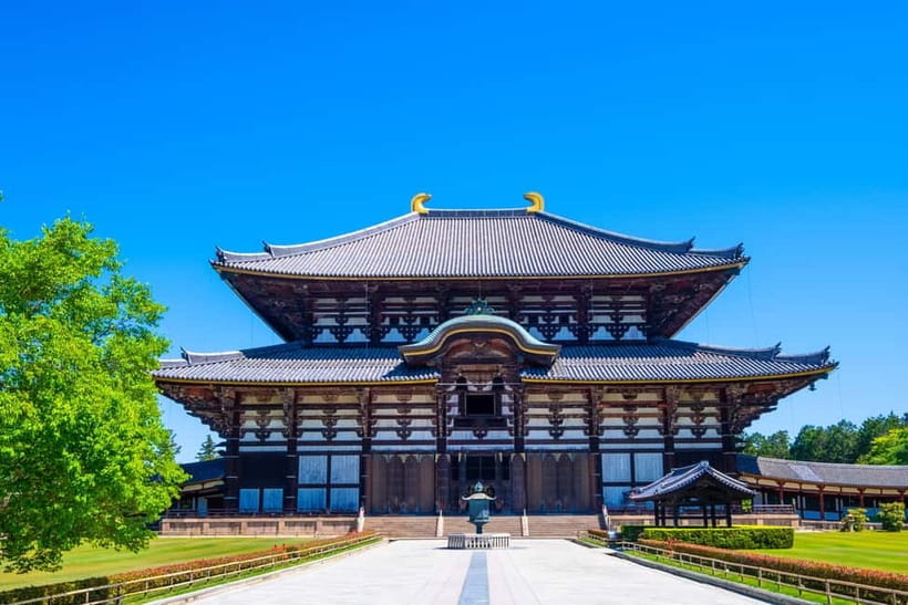 Kyoto/Osaka: Kinkakuji, Bamboo Forest, and Nara Deer Park - Why this Kyoto and Nara day trip works