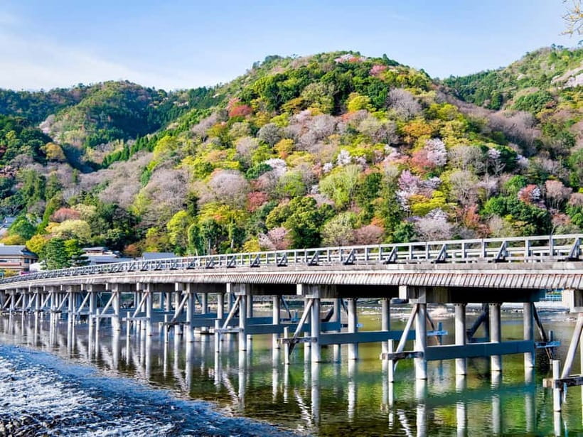 Kyoto/Osaka: Kinkakuji, Bamboo Forest, and Nara Deer Park - Who should book this day trip?