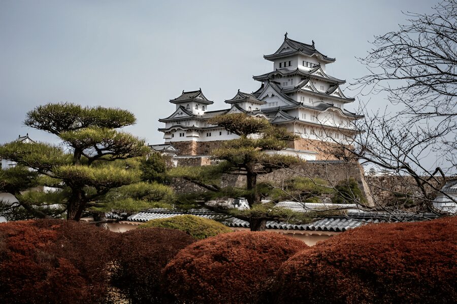 Kyoto/Osaka: Kobe & Himeji Journey Through Culture & History - Who gets the best value from this day
