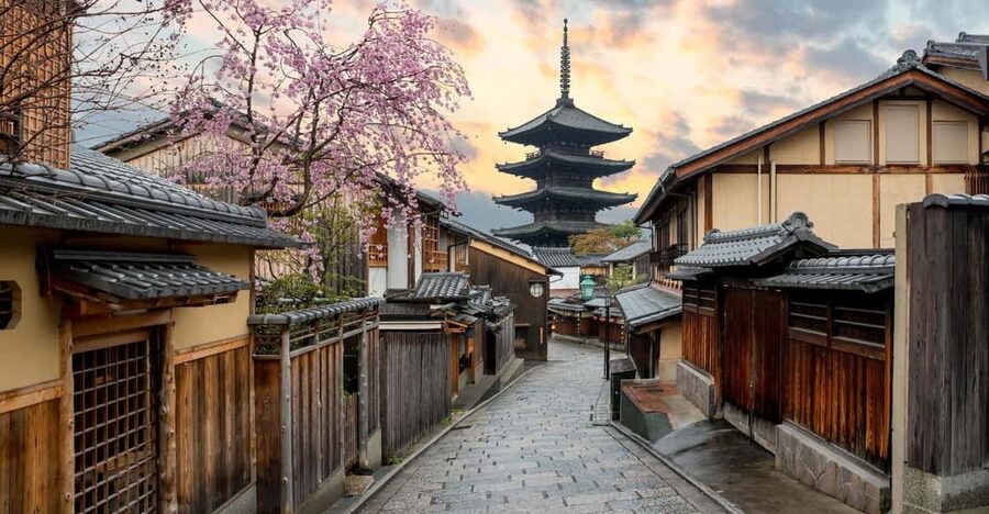 Kyoto/Osaka: Kyoto and Nara Customized Private Guided Tour - Gion and Hanami-koji: old Kyoto streets
