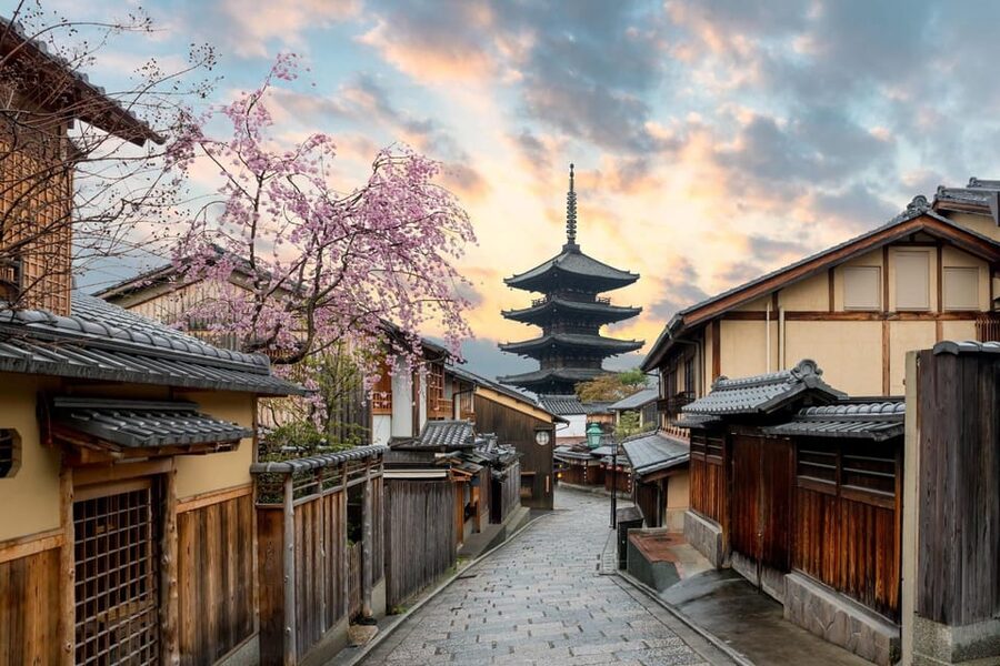 Kyoto/Osaka: Kyoto and Nara Customized Private Guided Tour - Arashiyama Bamboo Forest: beautiful, brief, and crowded