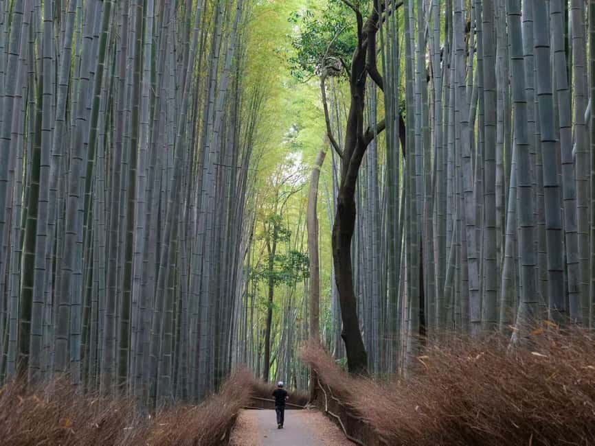 Kyoto/Osaka: Kyoto&Nara Customized Private Highlights Tour - Fushimi Inari and its endless red gates