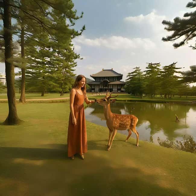 Kyoto/Osaka: Kyoto&Nara Customized Private Highlights Tour - Nara Park brings you close to the deer