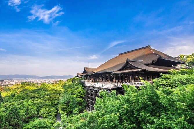 Kyoto, Osaka, Nara Full Day tour by Car English speaking Driver - Arashiyama and the bamboo grove