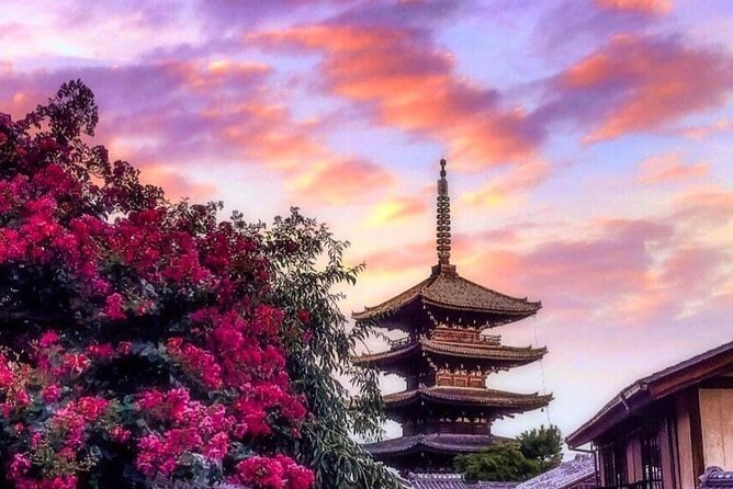 Kyoto, Osaka, Nara Private Tour by Car English Driver Guide - Nara: deer, temples, shrines, and open space