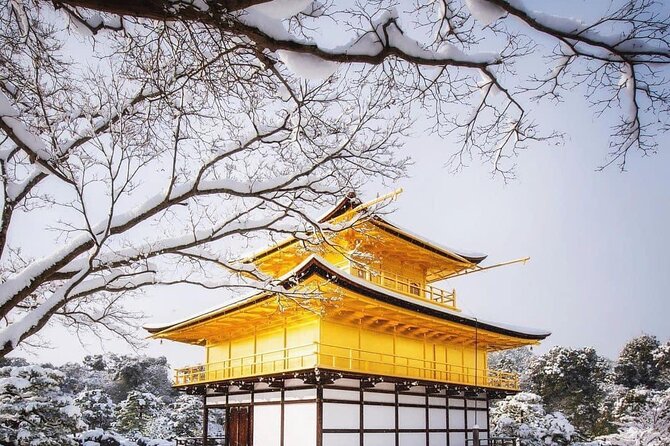 Kyoto, Osaka, Nara Private Tour by Car English Driver Guide - Osaka: castles, markets, and city views