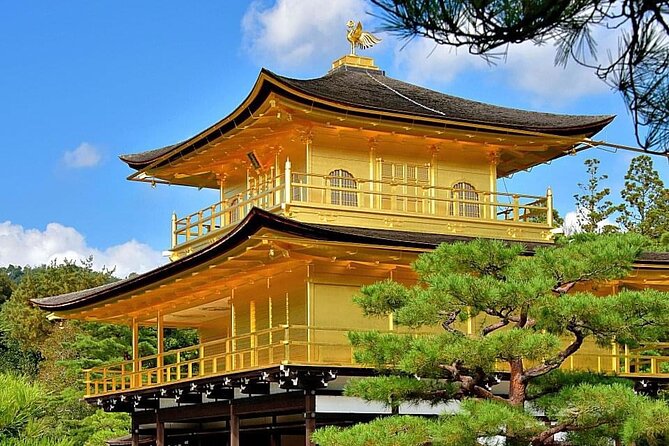 Kyoto, Osaka, Nara Private Tour by Car English Driver Guide - What the drivers do well, and where the service falls short