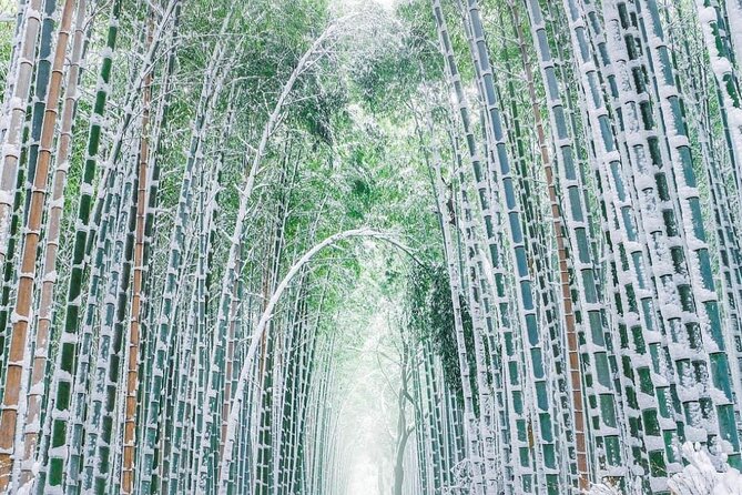 Kyoto, Osaka, Nara Private Tour by Car English Driver Guide - Timing, comfort, and the cost of entry