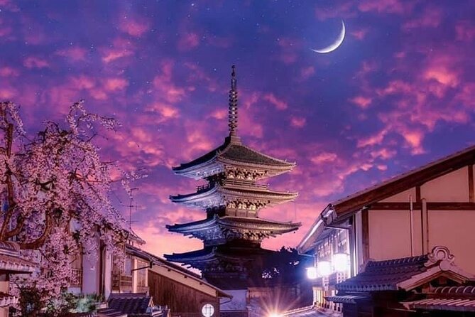 Kyoto, Osaka, Nara Private Tour by Car English Driver Guide - Should you book it?
