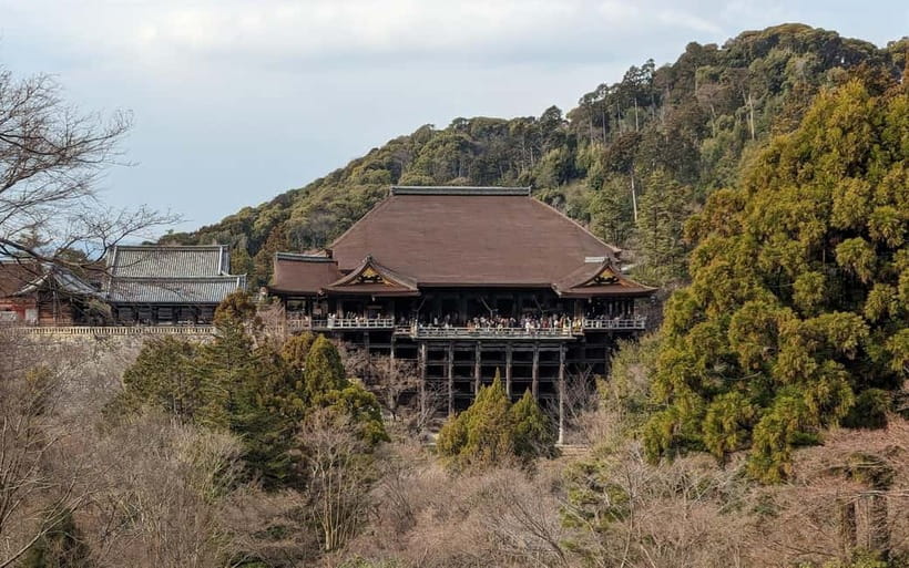 Kyoto: Personalize, private tour (3h, 5h, 8h) [W/Car Option] - Public transport or the private car option