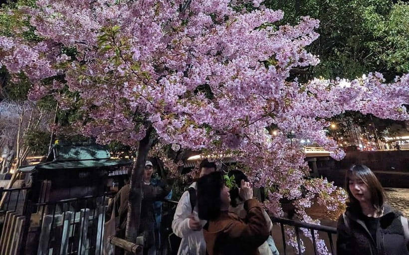Kyoto: Personalize, private tour (3h, 5h, 8h) [W/Car Option] - Price, value, and what you still pay