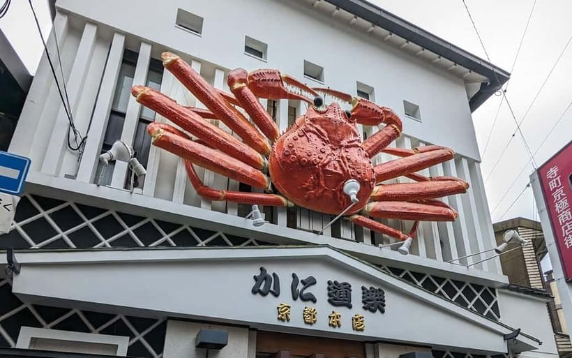 Kyoto: Personalize, private tour (3h, 5h, 8h) [W/Car Option] - Walking, weather, and practical limits