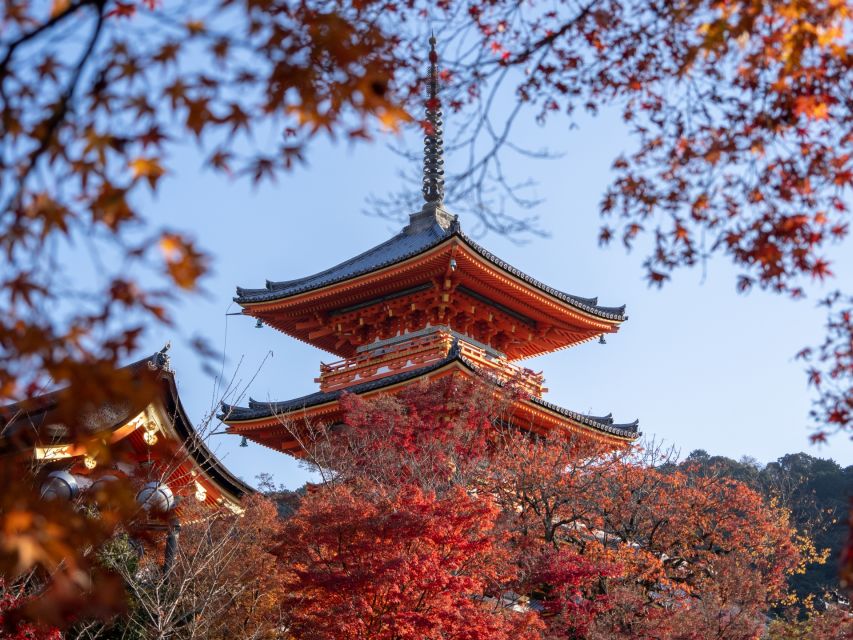 Kyoto: Personalized Guided Private Tour - Kiyomizu Temple and Kyoto from the mountainside