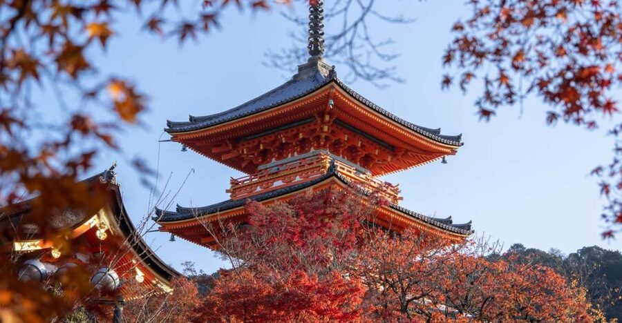 Kyoto: Personalized Guided Private Tour - Fushimi Inari and its long corridor of red gates
