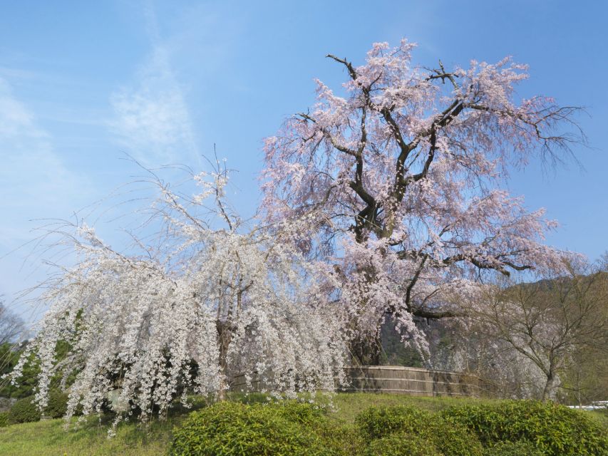 Kyoto: Private 2.5 Hour Historical Walking Tour - Kiyomizu-dera and the famous wooden stage