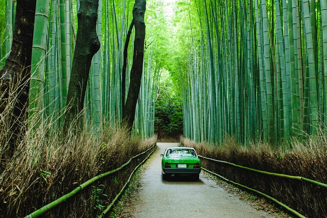 Kyoto Private 6 hour Tour: English Speaking Driver Only, No Guide - Why a private car can make sense in Kyoto