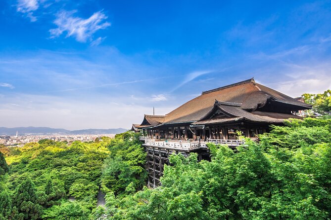 Kyoto Private 6 hour Tour: English Speaking Driver Only, No Guide - The value of $400.37 for up to three people