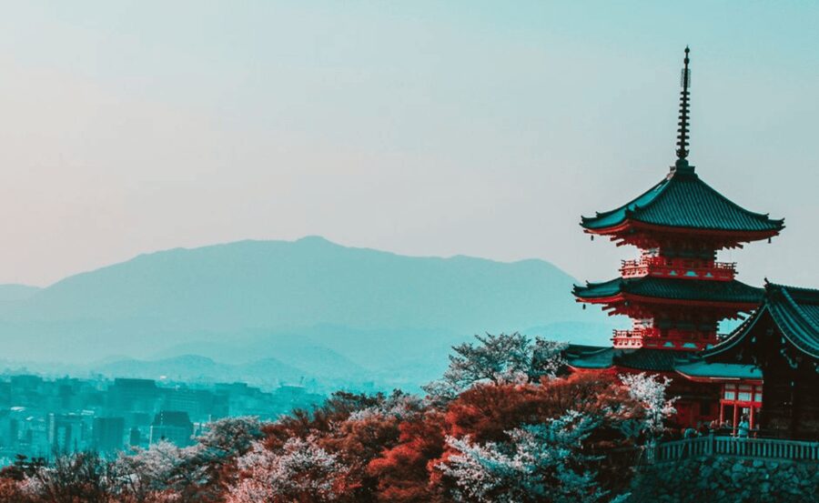 Kyoto : Private Custom Walking Tour With A Local Guide - Fushimi Inari and the Meaning Behind the Torii Gates