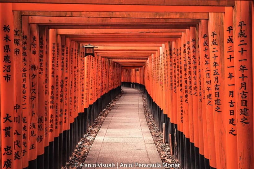 Kyoto: Private Customizable Day Tour with Guide and Vehicle - Why private transport changes a Kyoto day
