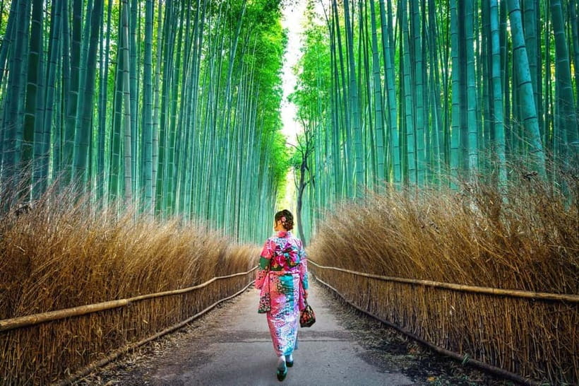 Kyoto: Private Customizable Day Tour with Guide and Vehicle - Arashiyama Bamboo Forest: beautiful, popular, and time-sensitive