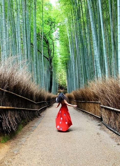 Kyoto: Private Customizable Day Tour with Guide and Vehicle - The guides make the biggest difference