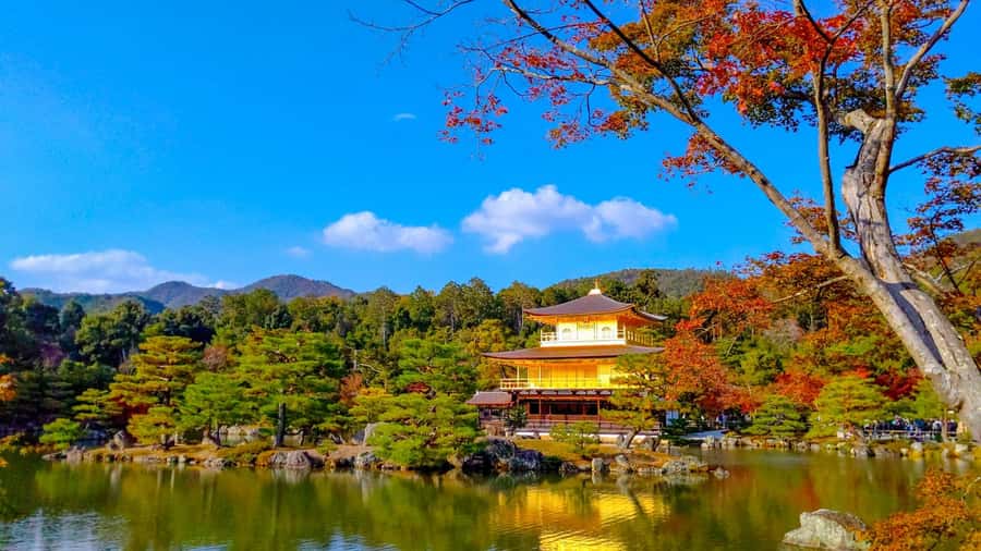 Kyoto: Private Customizable Day Trip by Car - Why a Private Car Helps in Kyoto