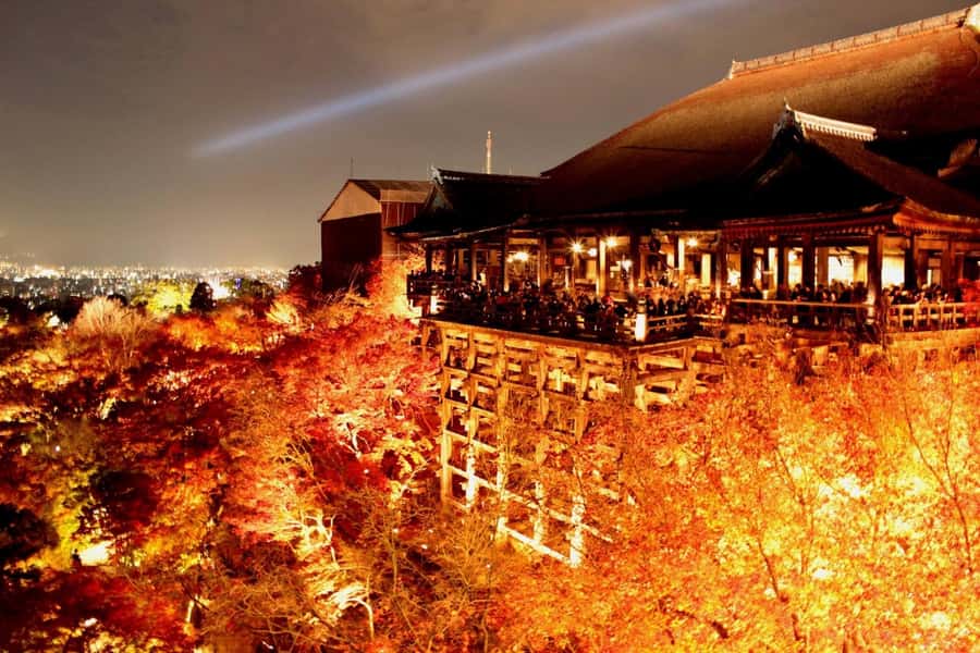 Kyoto: Private Customizable Day Trip by Car - Fushimi Inari’s Torii Gates