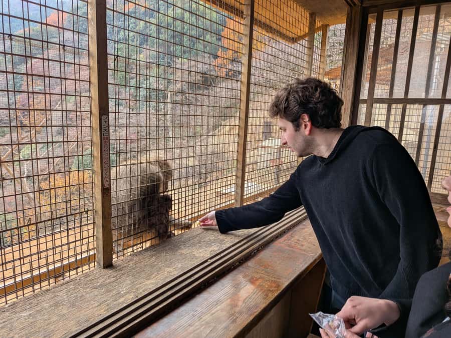 Kyoto: Private Customizable Day Trip by Car - The Real Cost of the Day