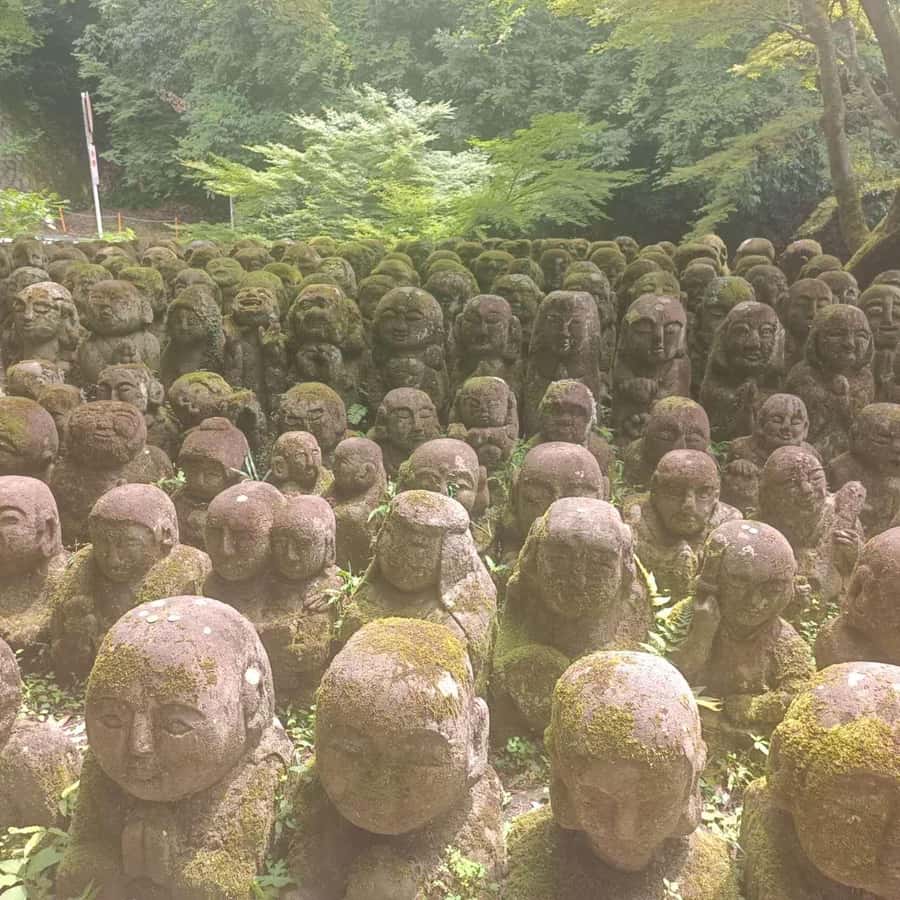 Kyoto: Private Customizable Day Trip by Car - Booking Advice and Final Verdict
