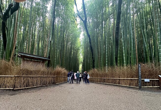 Kyoto Private Customizable Day Trip With English chauffeur - Key points at a glance