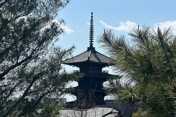 Kyoto Private Customizable Day Trip With English chauffeur - Why a private car makes sense in Kyoto