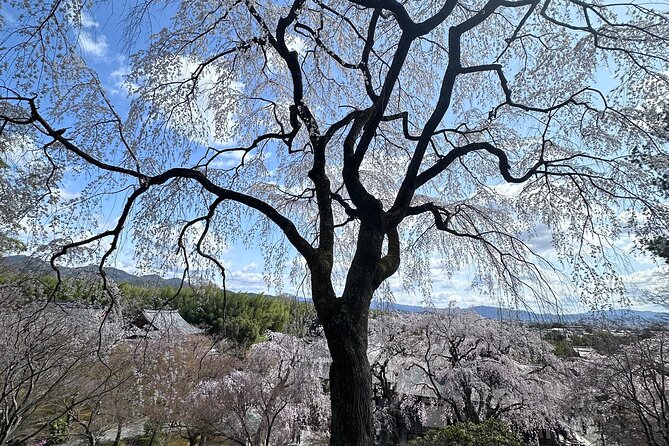 Kyoto Private Customizable Day Trip With English chauffeur - Kyoto Imperial Palace and central Kyoto