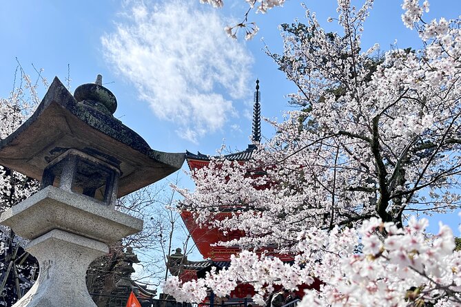 Kyoto Private Customizable Day Trip With English chauffeur - Lunch and local food at Nishiki Market